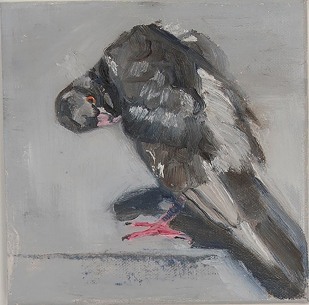 Joan Uloth - Little Pigeon