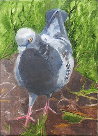 Joan Uloth - Pigeon on Hampstead Heath 5